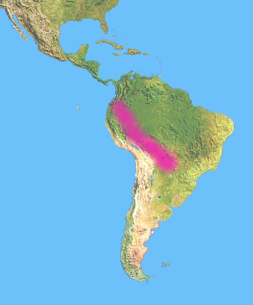 Distribution Lymanbensonia